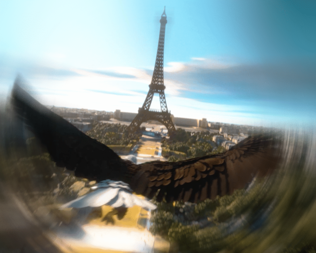 mikemaignansignatureadidas